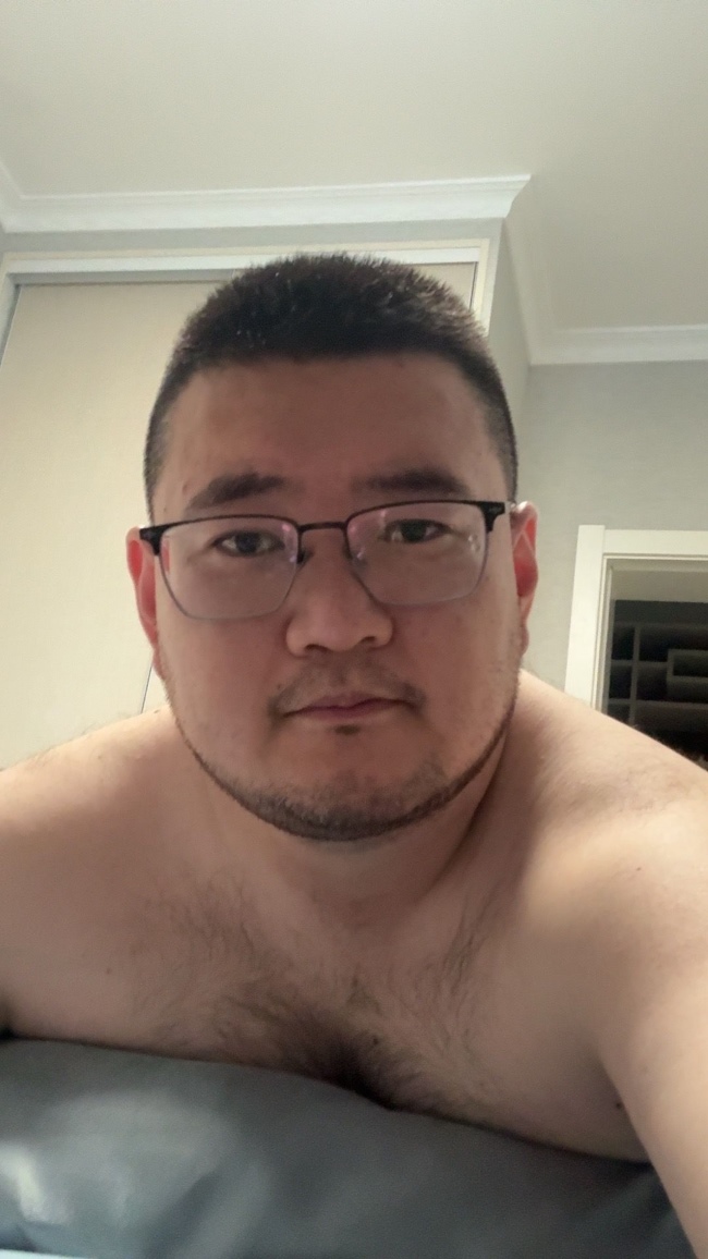 毛毛熊
